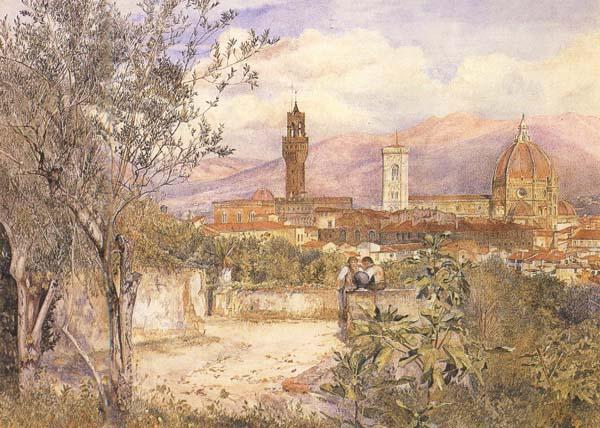 Henry Roderick Newman View of Florence,From the Gardens fo the Palazzo de'Mozzi (mk46) oil painting picture